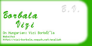 borbala vizi business card
